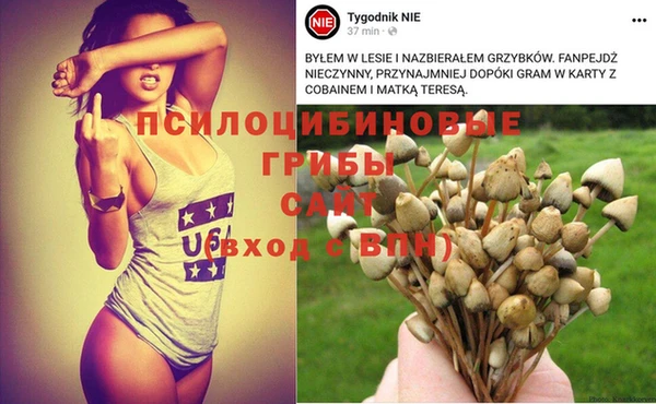 не бодяженный Абинск