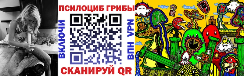 Псилоцибиновые грибы прущие грибы  Приозерск 